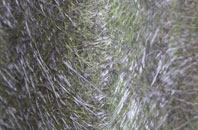 St Margarets Hope fibreglass roof work